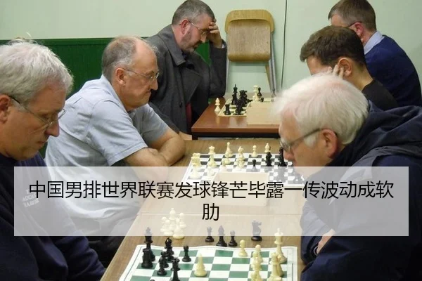 zhong-guo-nan-pai-shi-jie-lian-sai-fa-qiu-feng-mang-bi-lu-yi-chuan-bo-dong-cheng-ruan-lei-2-501.jpg