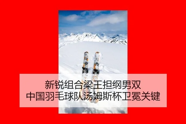 xin-rui-zu-he-liang-wang-dan-gang-nan-shuang-zhong-guo-yu-mao-qiu-dui-tang-mu-si-bei-wei-mian-guan-jian-2-488.jpg