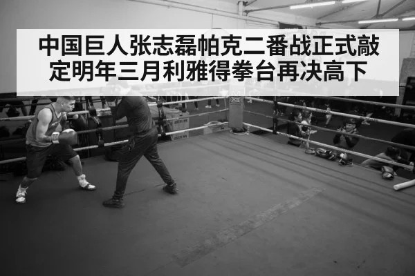 boxer training session