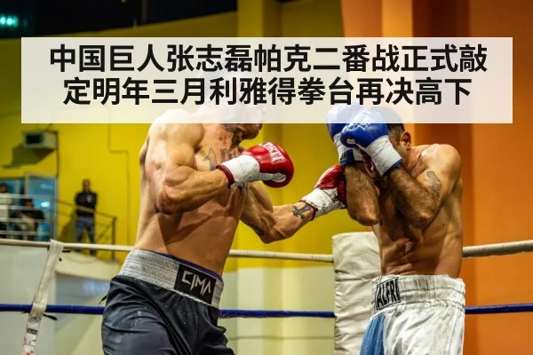 heavyweight boxing match